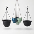 Hanging Baskets