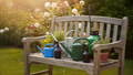 Watering Cans & Misters