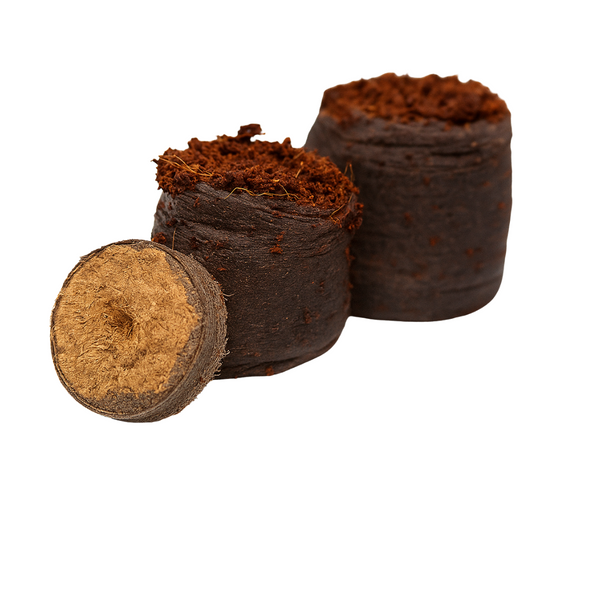 Coir Seed Starters 36mm – 12 Pack Retail– Peat-Free Biodegradable Growing Pellets