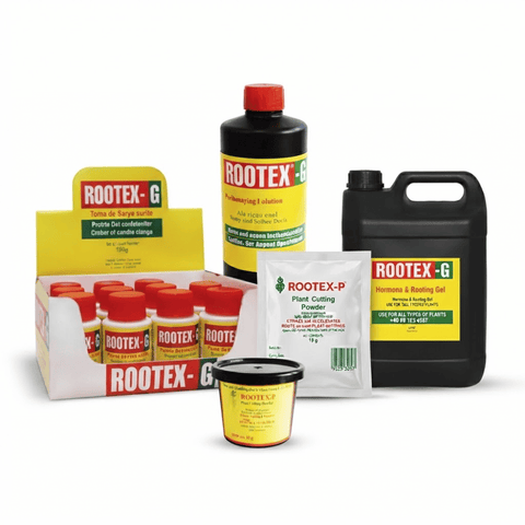 Rootex