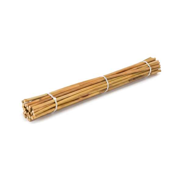 Natural Bamboo Canes (12 Pack) - 1500mm (5ft) Length (10-12mm) - Heavy-duty Vertical Support for Tall Crops & Large Vines