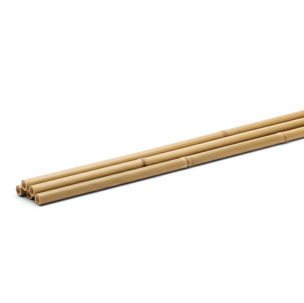 Natural Bamboo Canes (5 Pack) - 1800mm (6ft) Length (18-20mm Ultra-thick) - Maximum Strength Support for Heavy Crops, Large Vines & Trellis