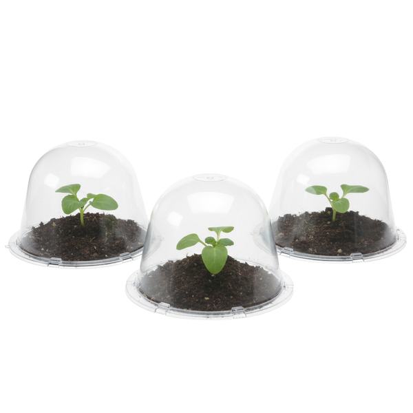 Bell Cloches - 26cm Diameter Set of Three - Essential Plant Protection Against Frost, Wind, and Pests