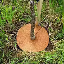 Coir Mulch Discs - 320mm by Greenhouse & Polytunnels