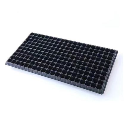 Black plastic seedling tray with multiple small holes on a white background