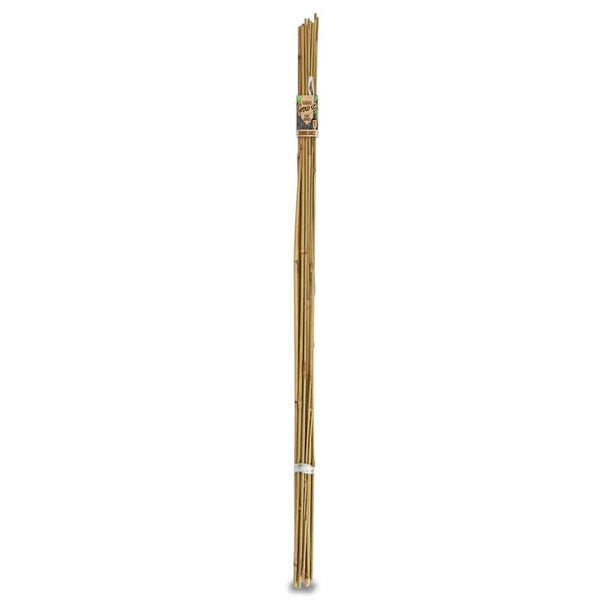 Plant Supports & Garden Stakes | Heavy-Duty Climbing Frames | Page 9