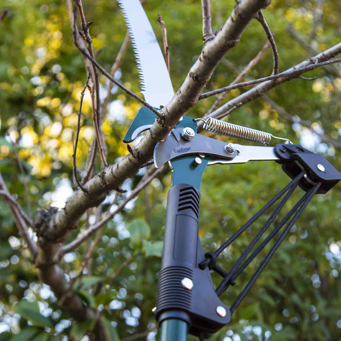 6 x Cyclone Telescopic Tree Pruner – 3.2m Reach – Professional Lightwe