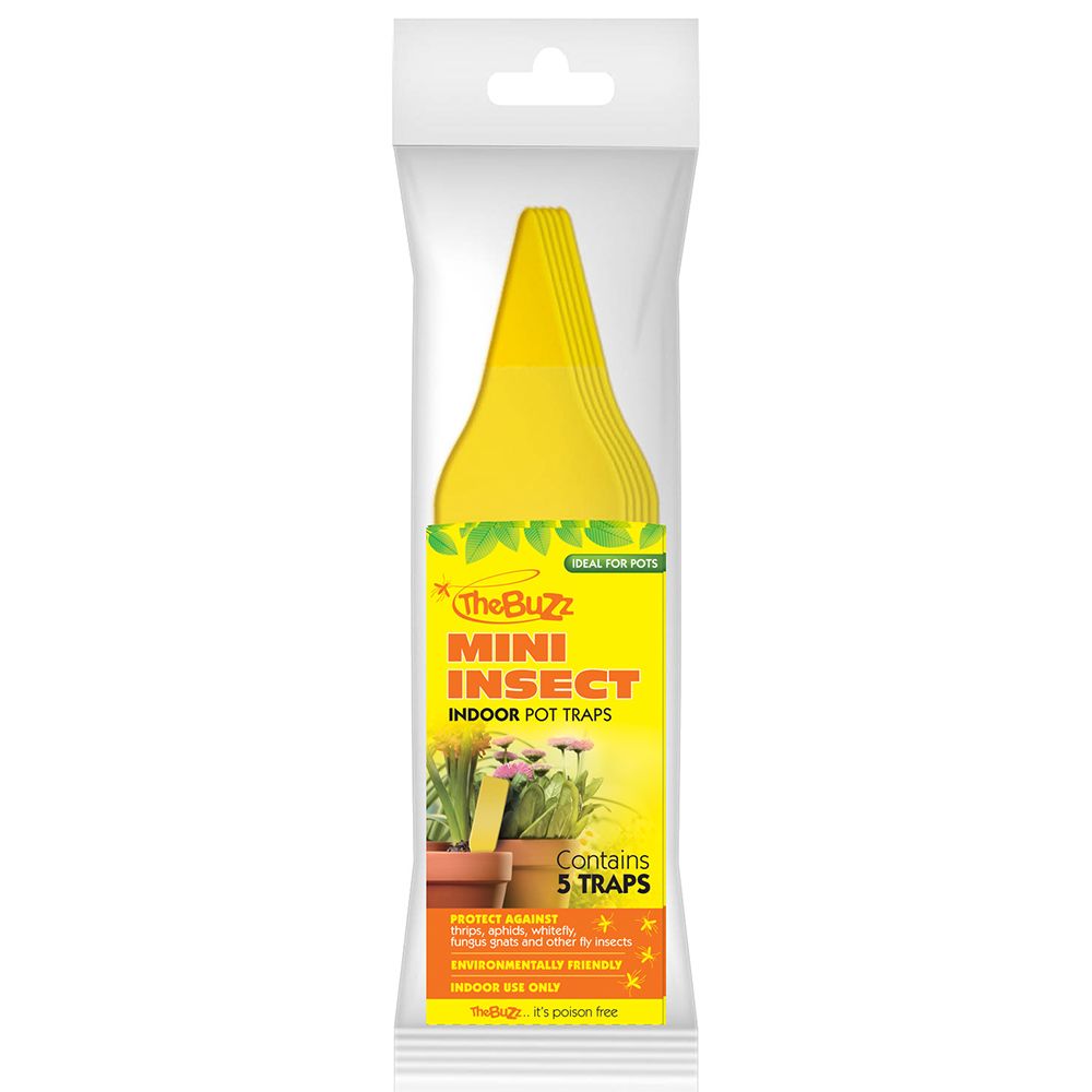 24 x The Buzz Mini Insect Traps 5pk | Discreet Poison-Free Sticky Trap