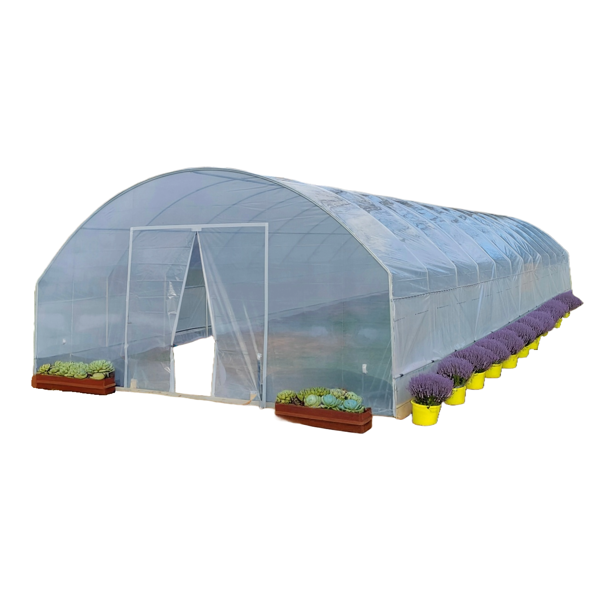 Greenhouse with plants on a white background