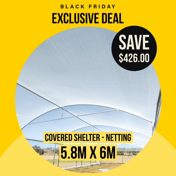 Covered Shelters - Black Friday Deal
