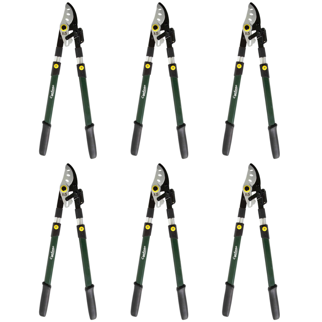6 x Cyclone - Telescopic Ratchet Bypass Lopper – 700mm to 1020mm – Pro