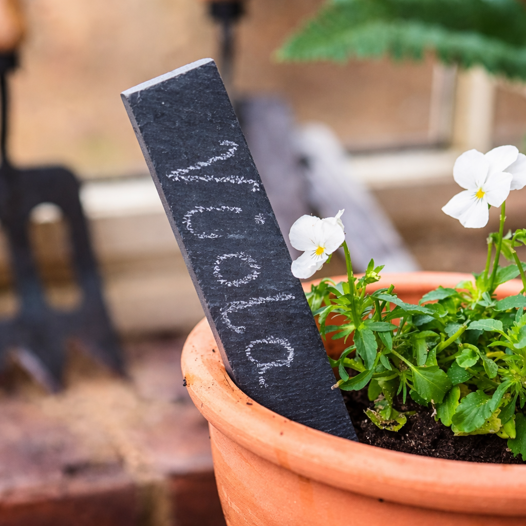 Natural Slate Garden Labels - 150mm Pointed Stake, 5 Pack with White P