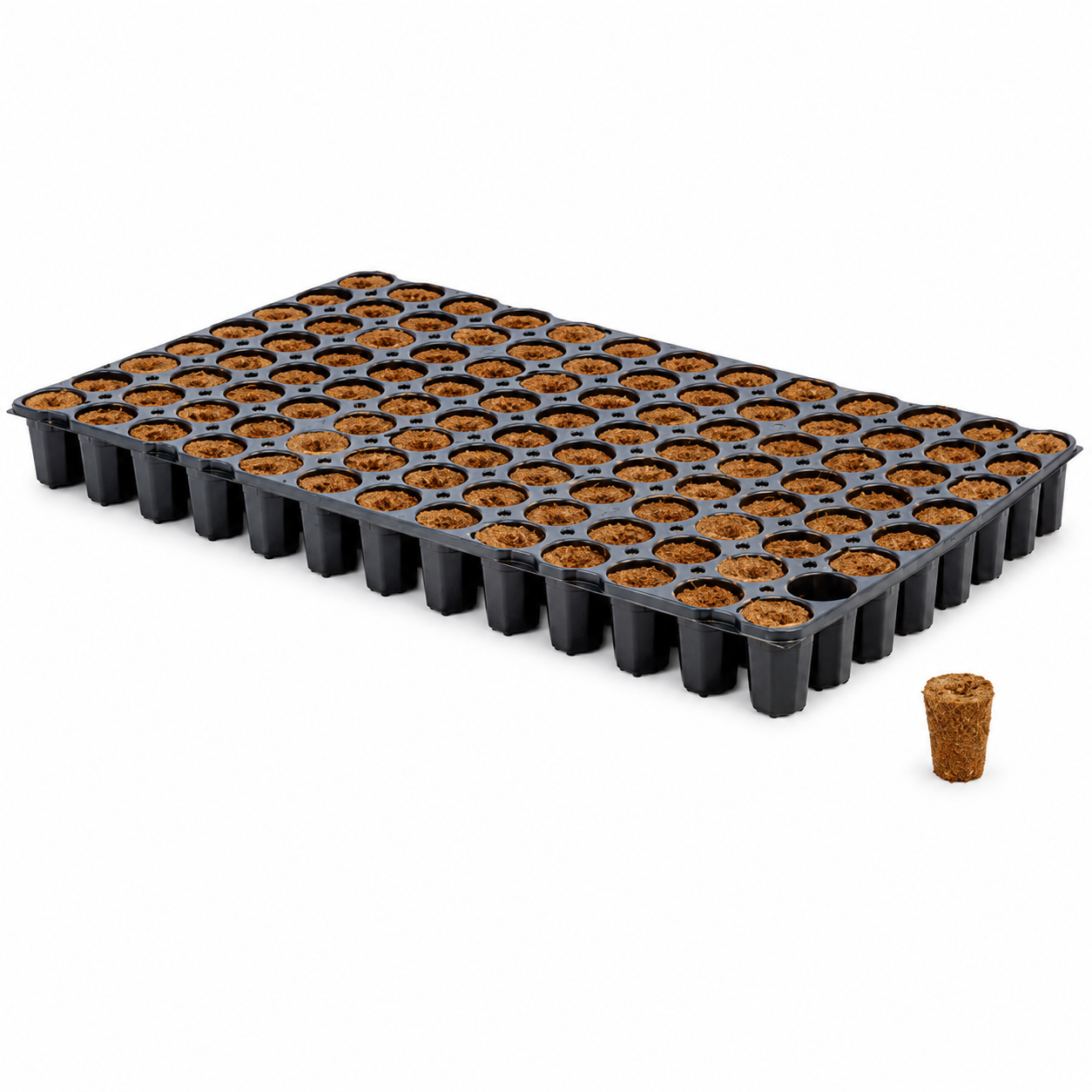 6 x Eazy Plug - Round Plug Commercial Bulk Pack - 104-Cell High-Volume