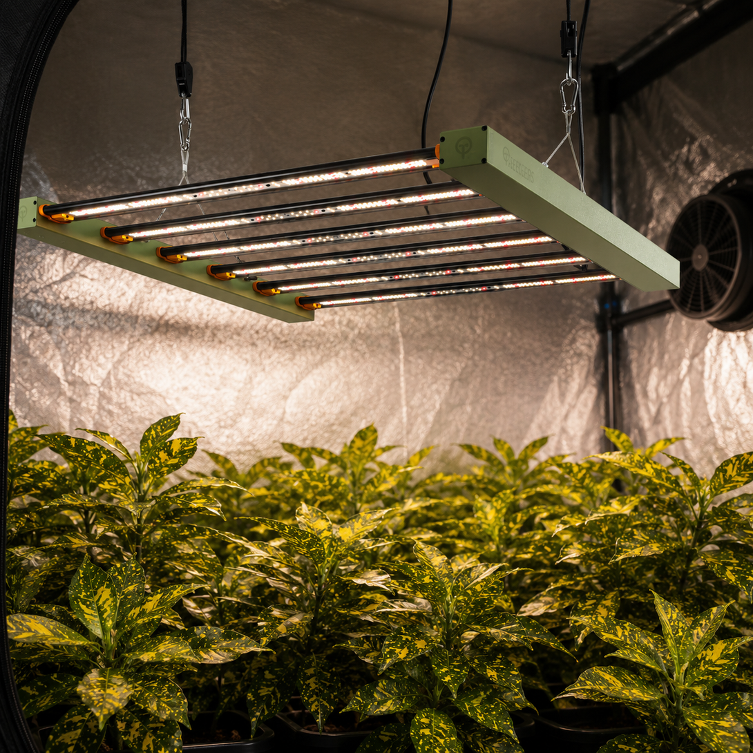 Treegers - GL420W+ Commercial LED Grow Light Fixture – 6-Bar Full-Spec