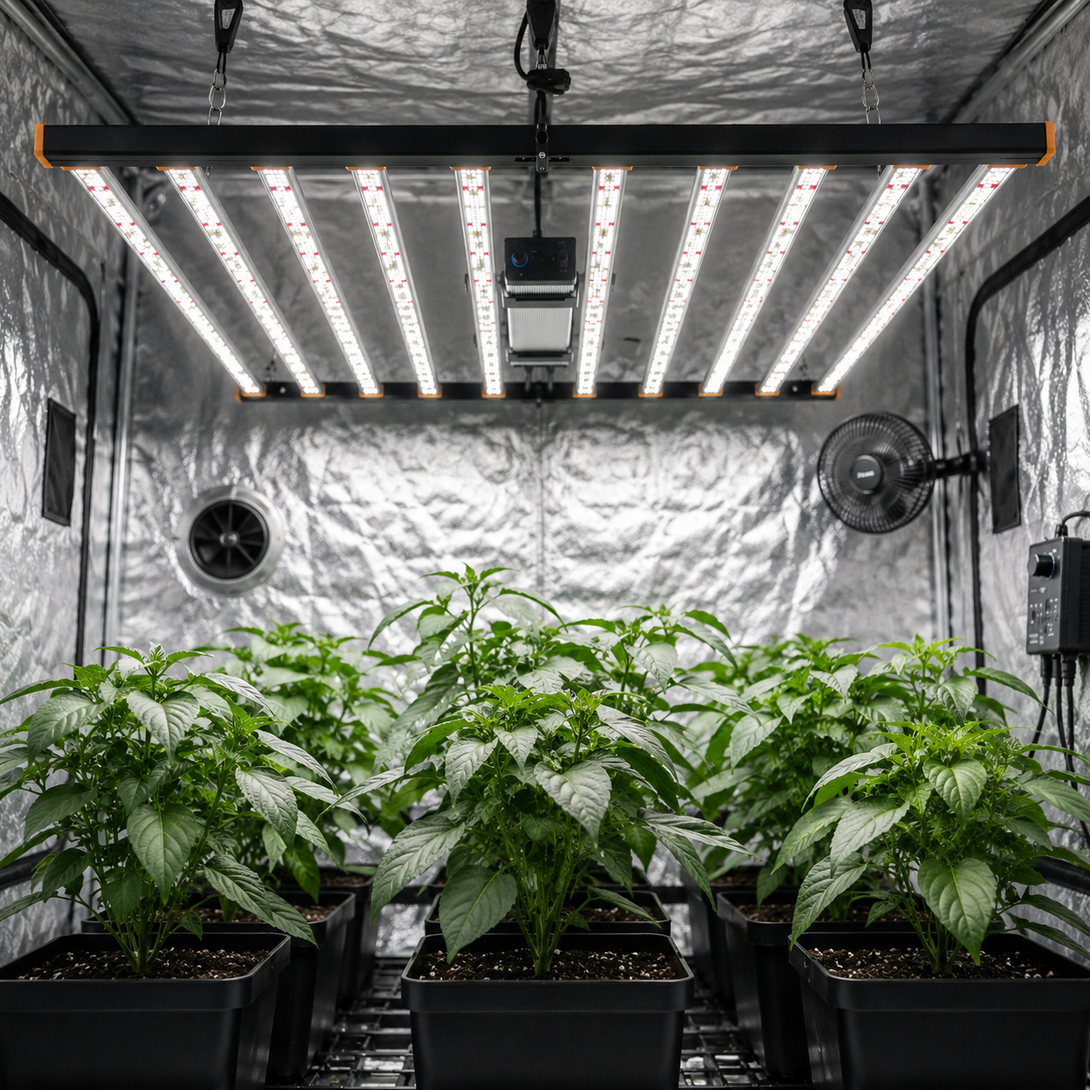 ULight - 1000W Commercial Full-Spectrum LED Grow Light – High-Efficien