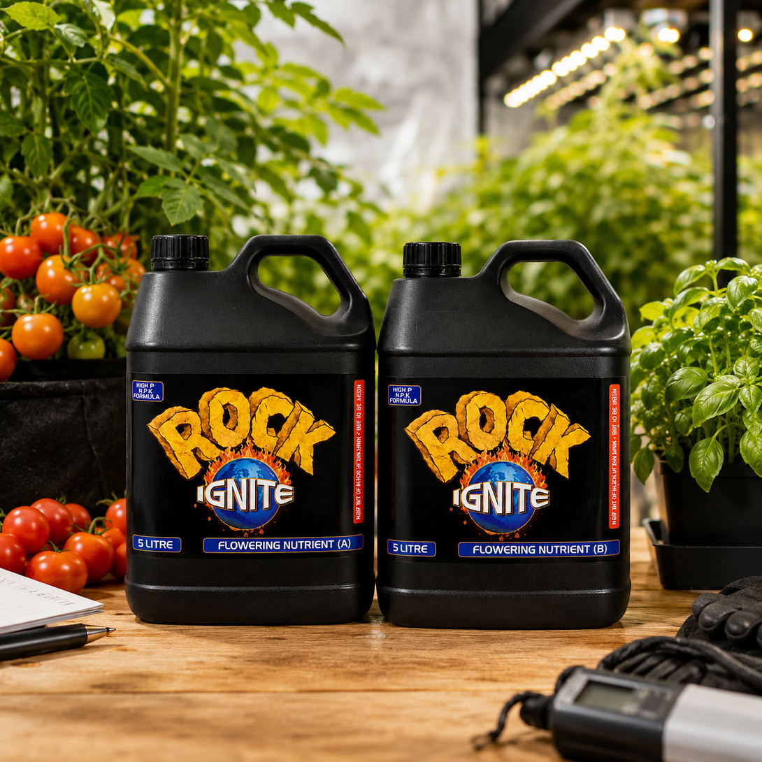 Rock - Ignite Bloom A&B (5L Set) – Commercial-Grade Two-Part Flowering