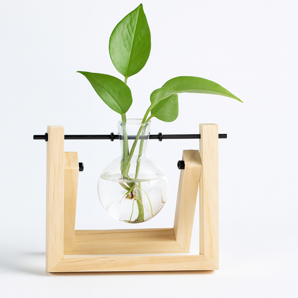 Propagation Station – Single Bulb 15.5cm – Elegant Desk & Home Decoration