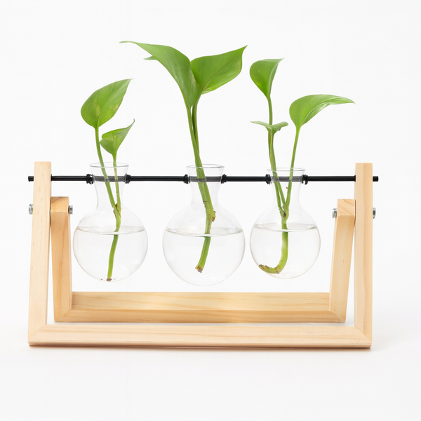 Propagation Station – Triple Bulb 27.5cm – Multiple Cuttings & Decorative Display