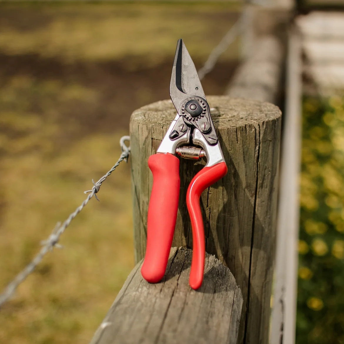 FELCO 50/4 - Replacement Anvil Blade | Greenhouse & Polytunnels