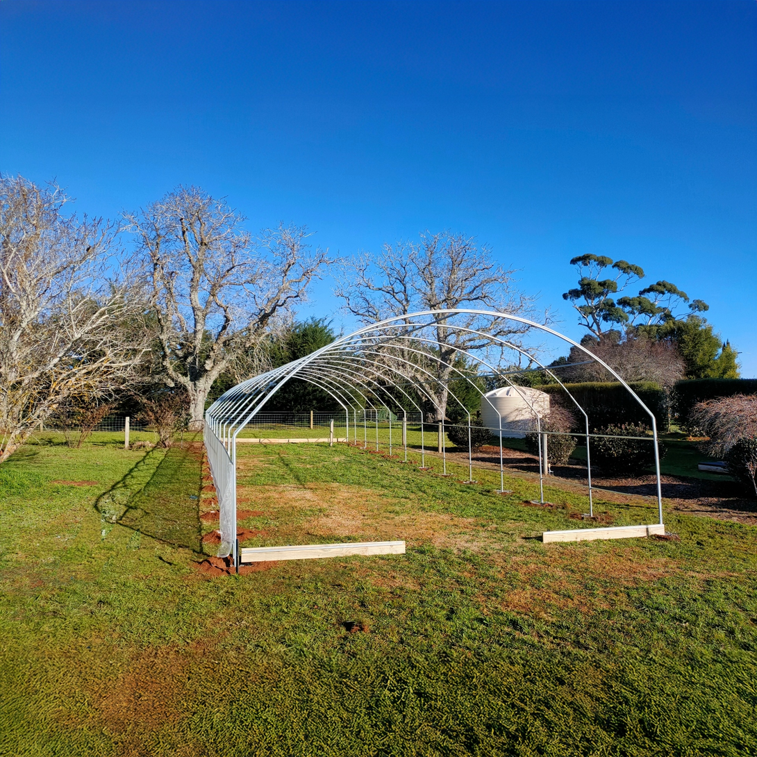 Polytunnel structure on a grassy field with trees and clear blue sky