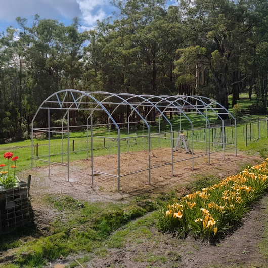 Frame kit on gtrass with flowers on the side surounded by grass with a ladder inside