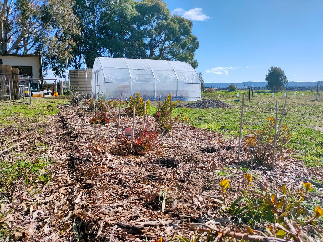 Polytunnel Elite Kit