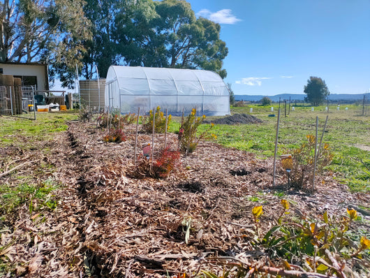 Polytunnel Elite Kit