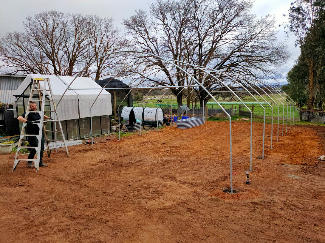 Person on a ladder working on a greenhouse structure in an outdoor setting with trees and other greenhouses in the background.