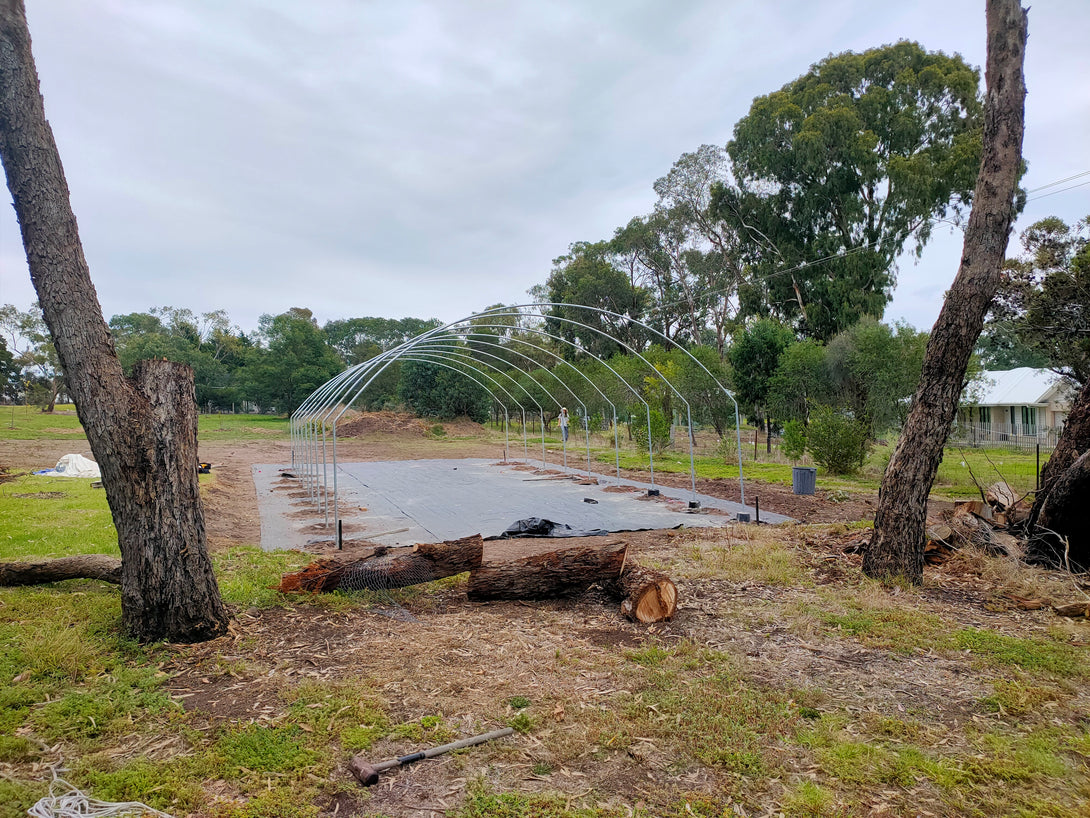 Arc-shaped polytunnel structure in a natural setting with trees and grass.