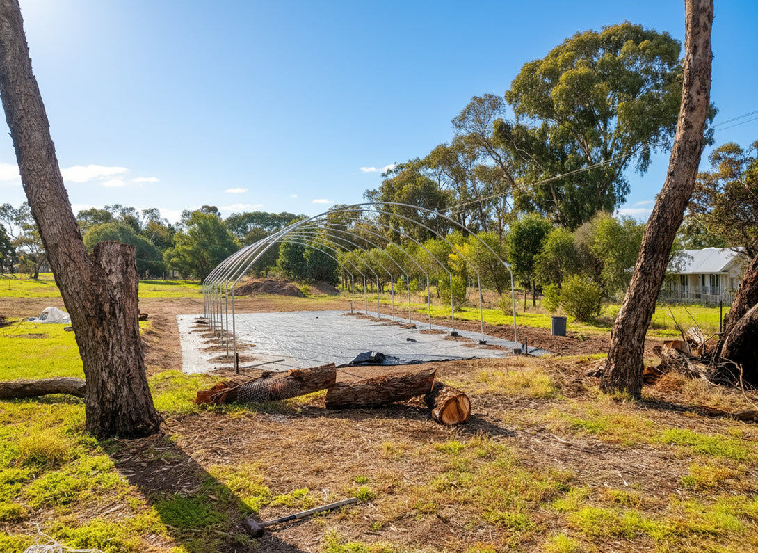Arc-shaped metal structure in a natural setting with trees and grass.