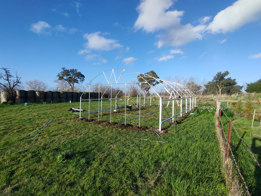 polytunnel structure in a grassy field with trees and blue sky in the background