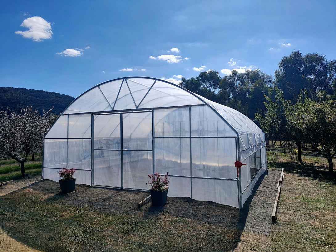 Large white greenhouse in an outdoor setting with trees and blue sky.