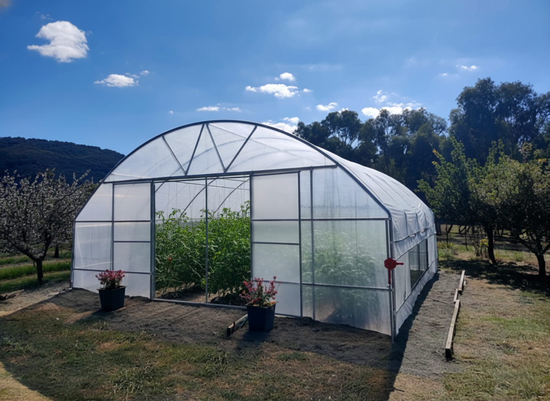 Greenhouse with plants on a sunny day with trees and blue sky in the background