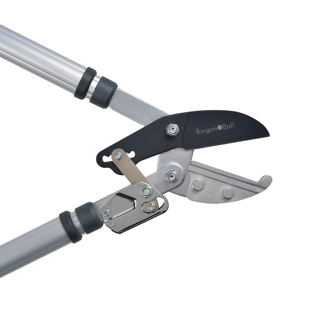 Telescopic Rhs Burgon & Ball - RHS Telescopic Ratchet Lopper – Heavy-Duty Five-Stage