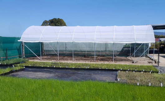Greenhouse with plants in a field under clear blue sky