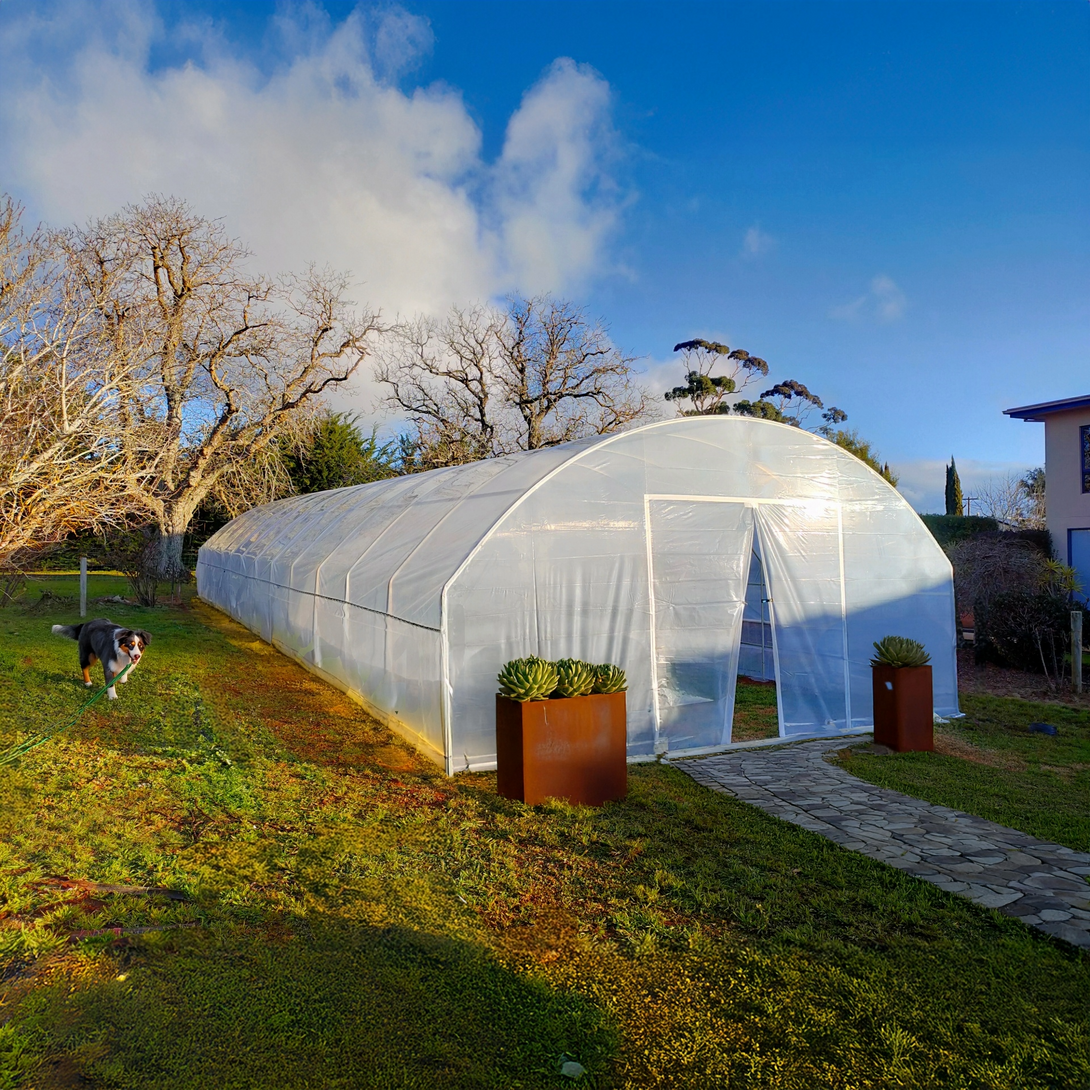Polytunel Kit Starter Polytunnel Greenhouse Kit | Affordable Backyard Growing