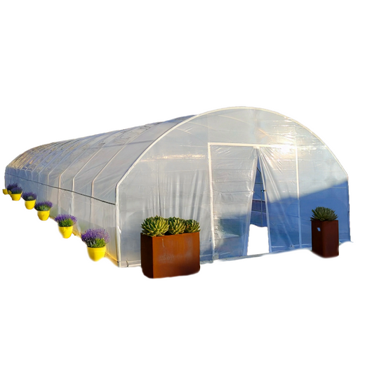 Greenhouse with plants and pots on a white background