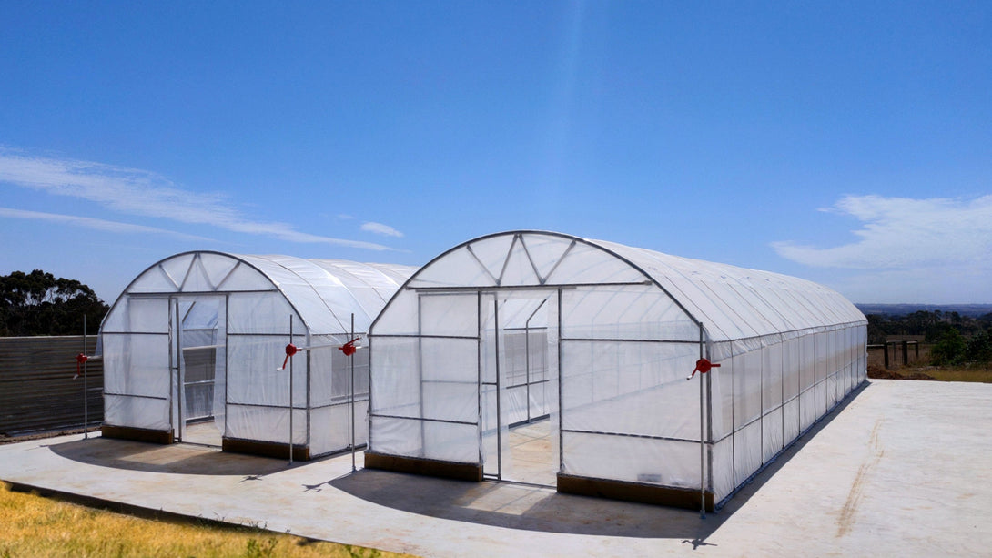 Pro Polytunnel Greenhouse | Commercial-Grade Strength for Harsh Conditions