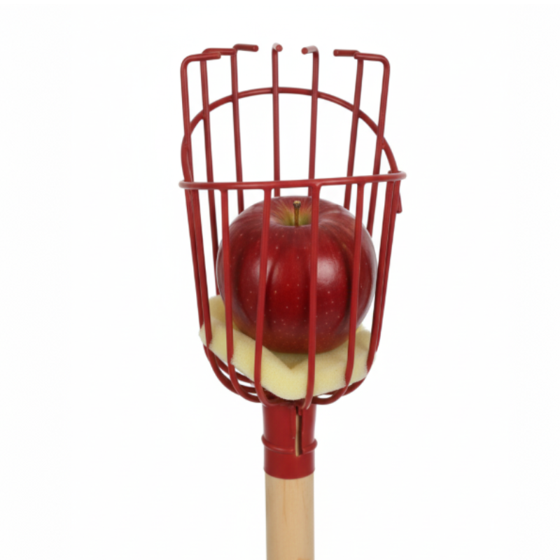 Red apple in a metal basket on a white background