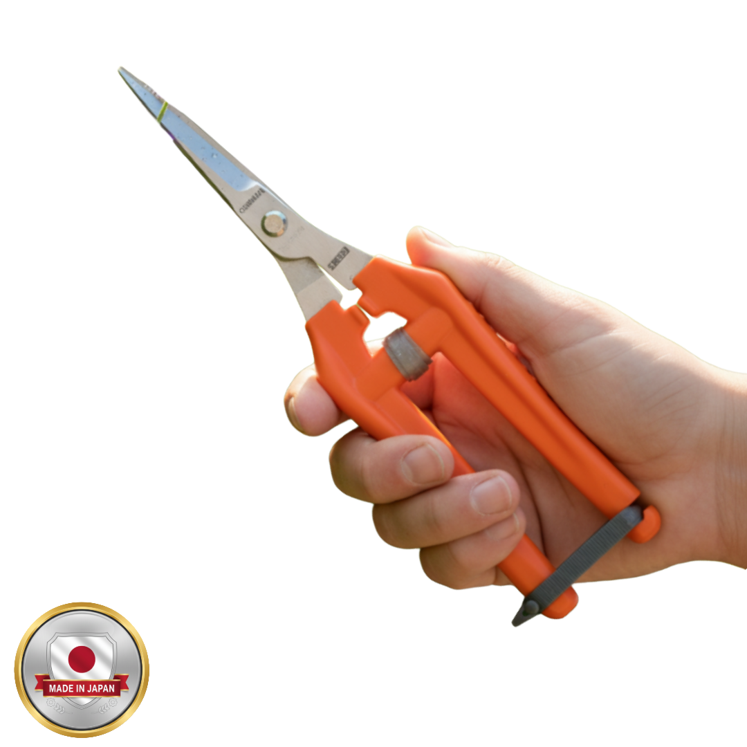 Hand holding orange scissors with a pen attached, on a white background