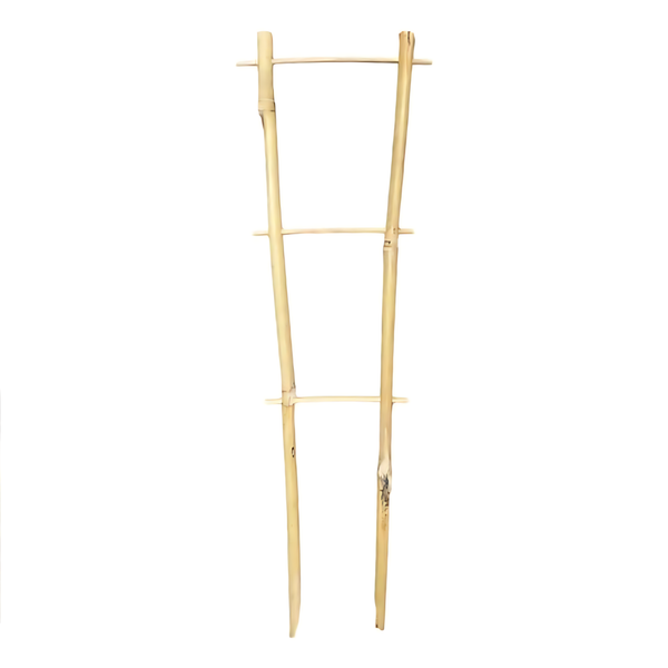 Bamboo Ladder Trellis - 45cm Height - Natural Support & Aesthetic Display for Maturing Potted Vines