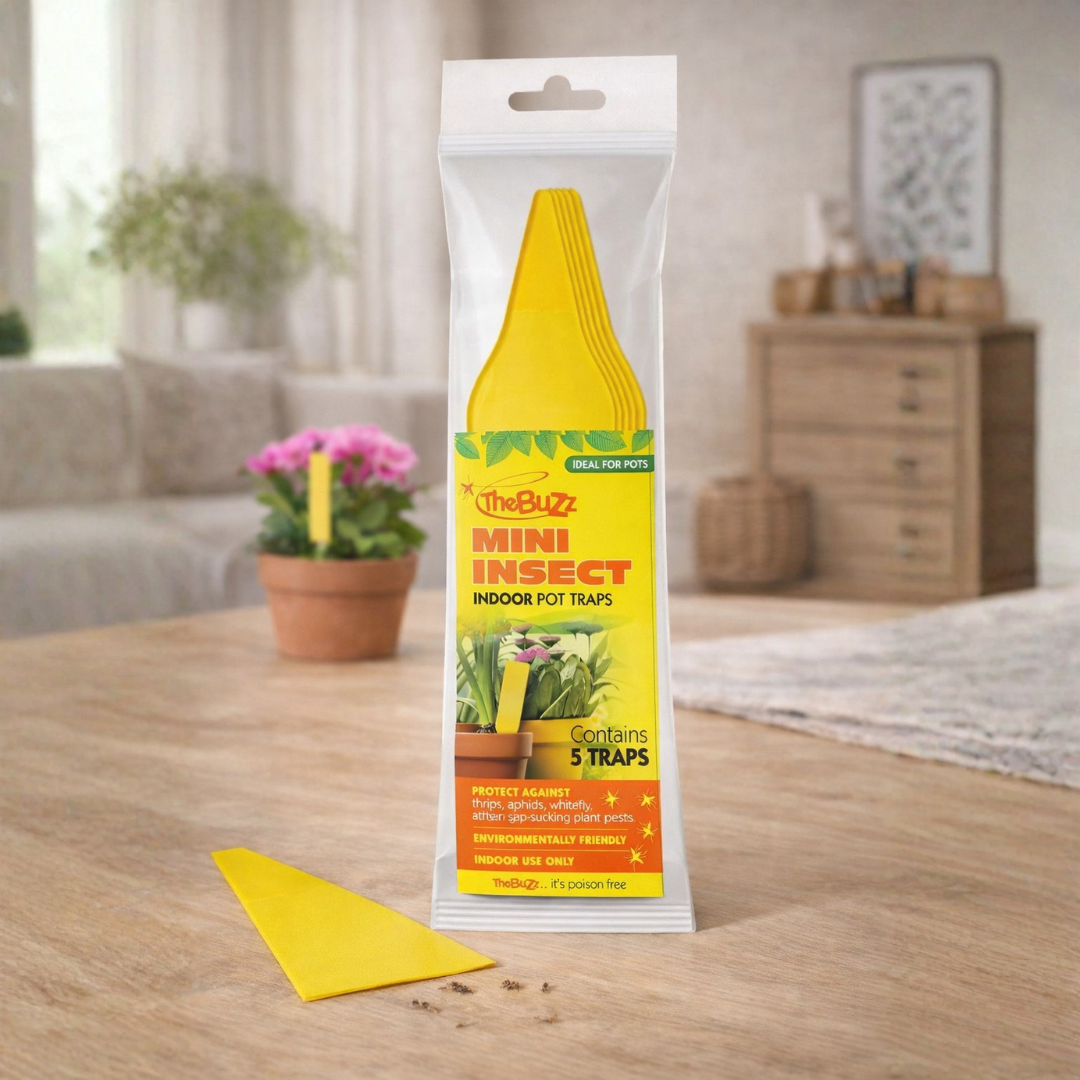 24 x The Buzz Mini Insect Traps 5pk | Discreet Poison-Free Sticky Trap