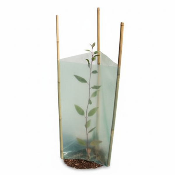 Tree Guard Set Bulk Bamboo (250 Guards) - 250 Complete Guards (450mm H, Triple-staked) - High-efficiency Protection for New Commercial Field Plantings