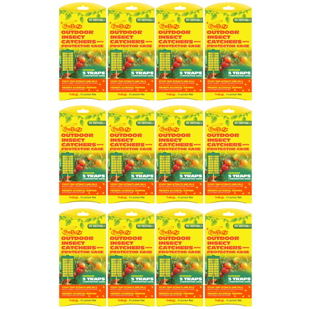 12 x The Buzz Insect Catcher & Protector | Humane & Poison-Free Pest M