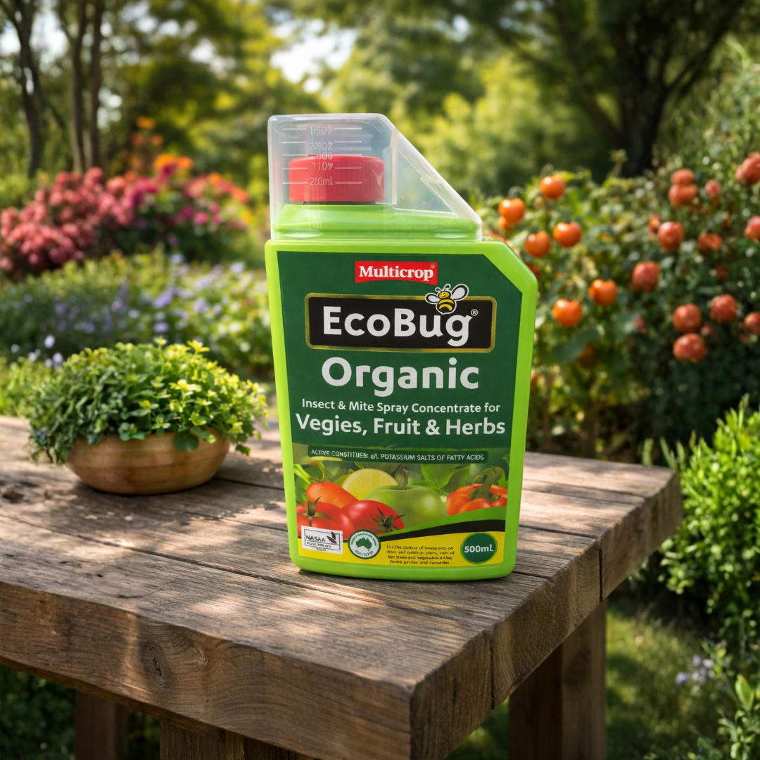 Organic Insect Form 10x Multicrop EcoBug Organic Insect & Mite Spray Concentrate 500ml – C