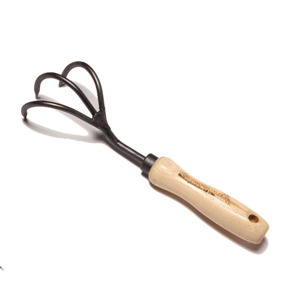 Krumpholz 3 Tyne Cultivator - 14cm Ash Handle, Hand-forged Steel - Tool for Aeration, Cultivation & Weed Removal