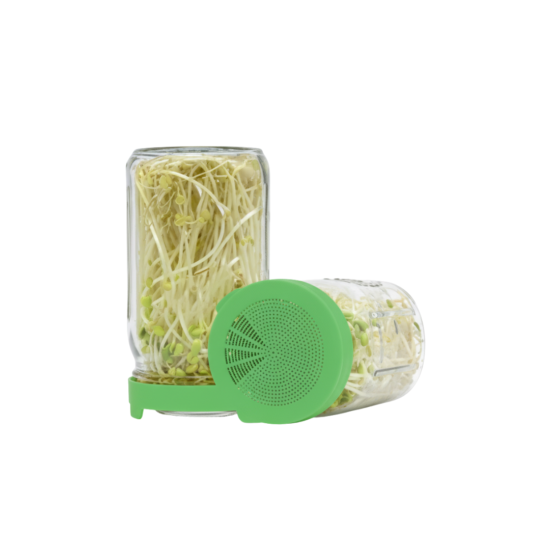 Glass Mason Sprouting Jar and Lid – Simple, Fresh Nutrient-Packed Spro