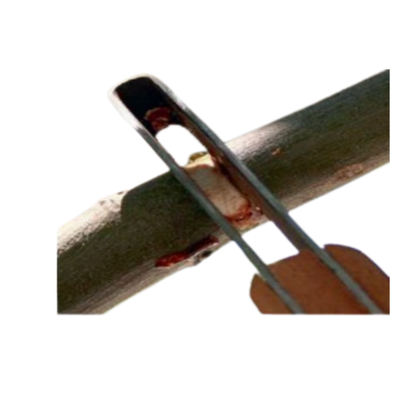 Vaca 3/8” Girdling Knife – Precision Tool for Targeted Horticultural Girdling (4.7 mm Blade)