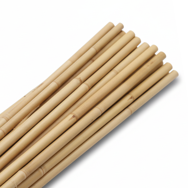 Full Diameter Bamboo Canes  - 1200mm (4ft) Length (Multi-diameter Up to 22mm) - Tall Structural Support for Standard Roses, Bean Frames & Heavy Crops