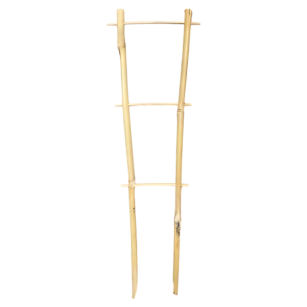 Bamboo Ladder Trellis - 85cm Height - Tall Natural Support for Large Potted Plants & Climbers